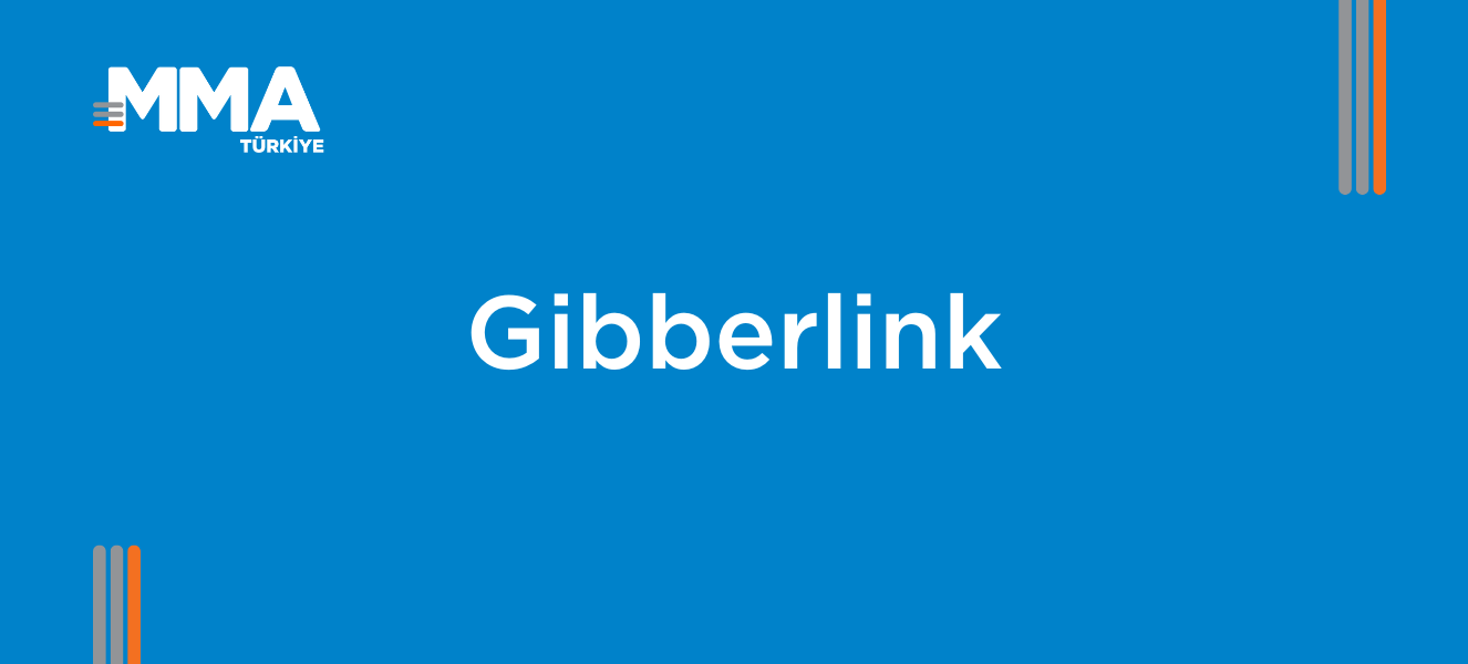 Gibberlink: AI’ların Gizli Dili ile Pazarlamanın Geleceği
